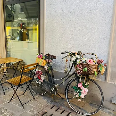 Piccolo Da Vinci 17 Διαμέρισμα Cesenatico